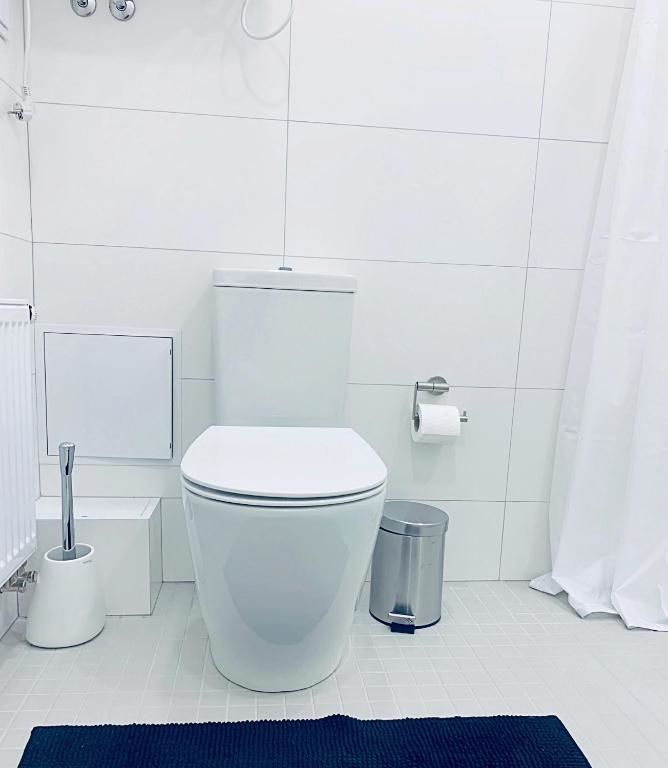 Апартаменты Elegant Town Hall Apartment Каунас