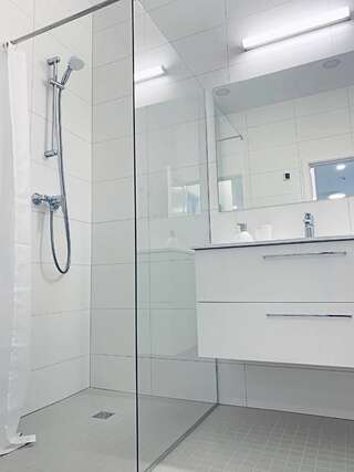 Апартаменты Elegant Town Hall Apartment Каунас Апартаменты с 1 спальней-23