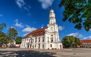 Апартаменты Elegant Town Hall Apartment Каунас Апартаменты с 1 спальней-43