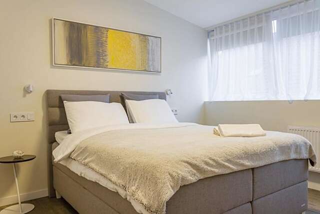 Апартаменты Elegant Town Hall Apartment Каунас-79